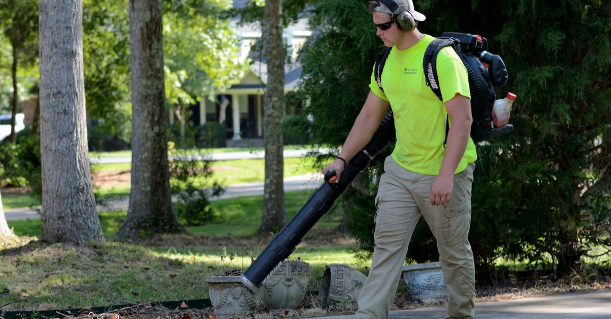 A landscaper wearing protective gear operates a leaf blower in a sunlit park, maintaining the area clean.