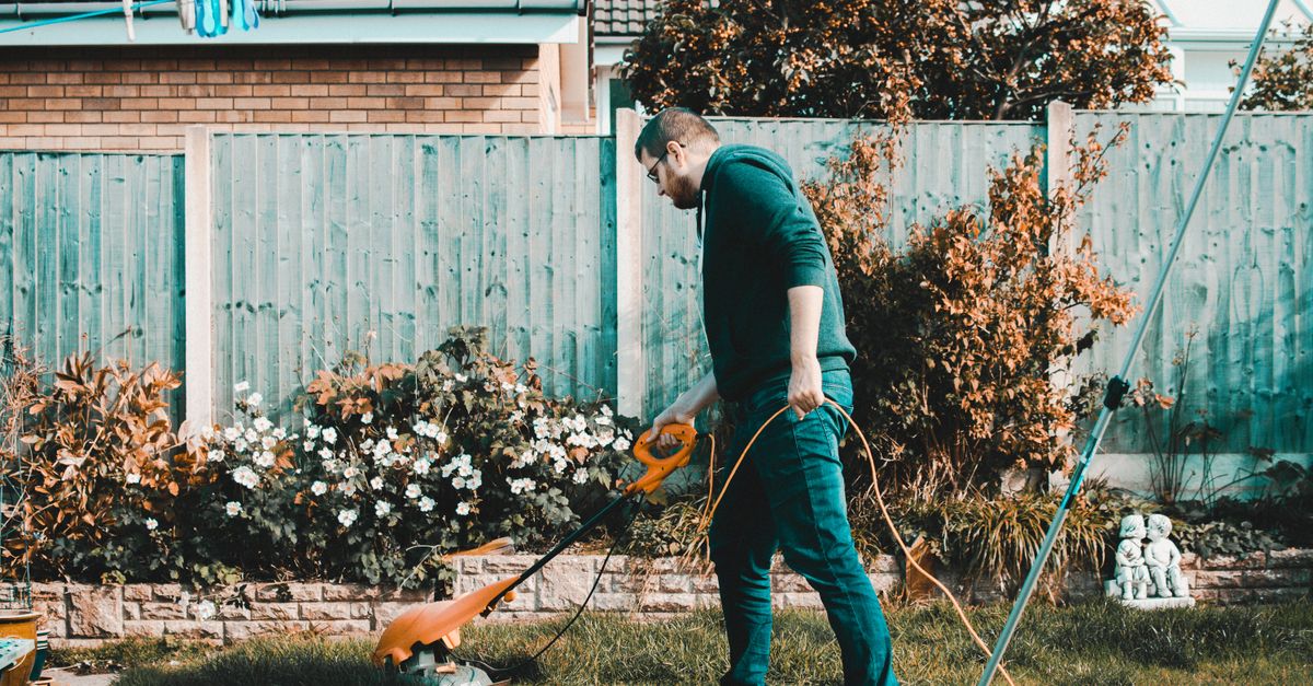 A man using an electric mower in a garden on a sunny day, capturing outdoor chores and gardening vibes.
